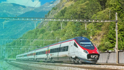 Success story | Hands-on support in the Post-Merger Integration for a leading rolling stock manufacturer